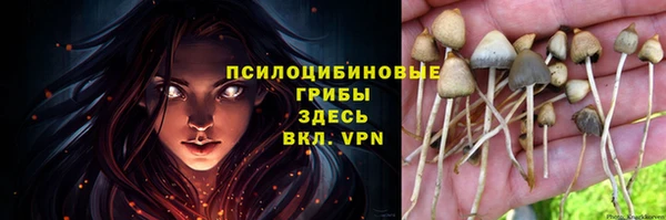 дживик Михайловка